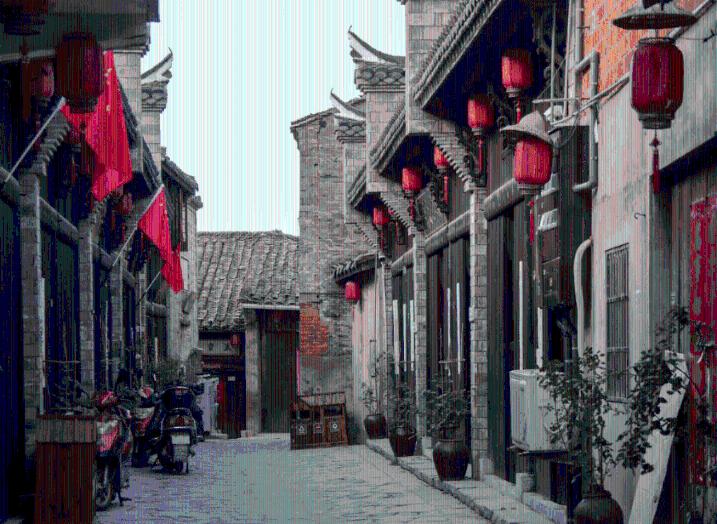 拯救昆虫群